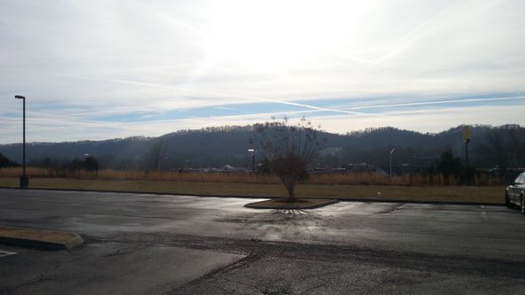 7535 Conner Rd, Powell, TN 37849